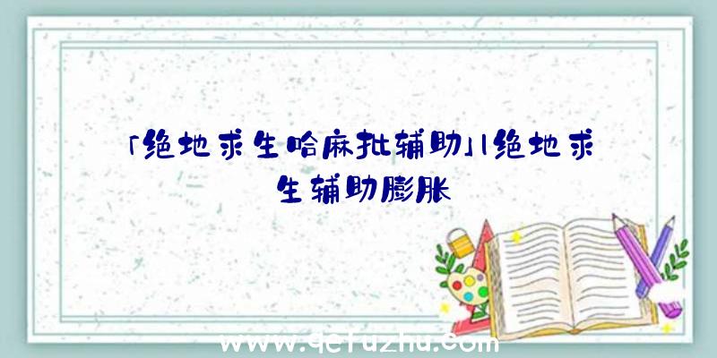 「绝地求生哈麻批辅助」|绝地求生辅助膨胀